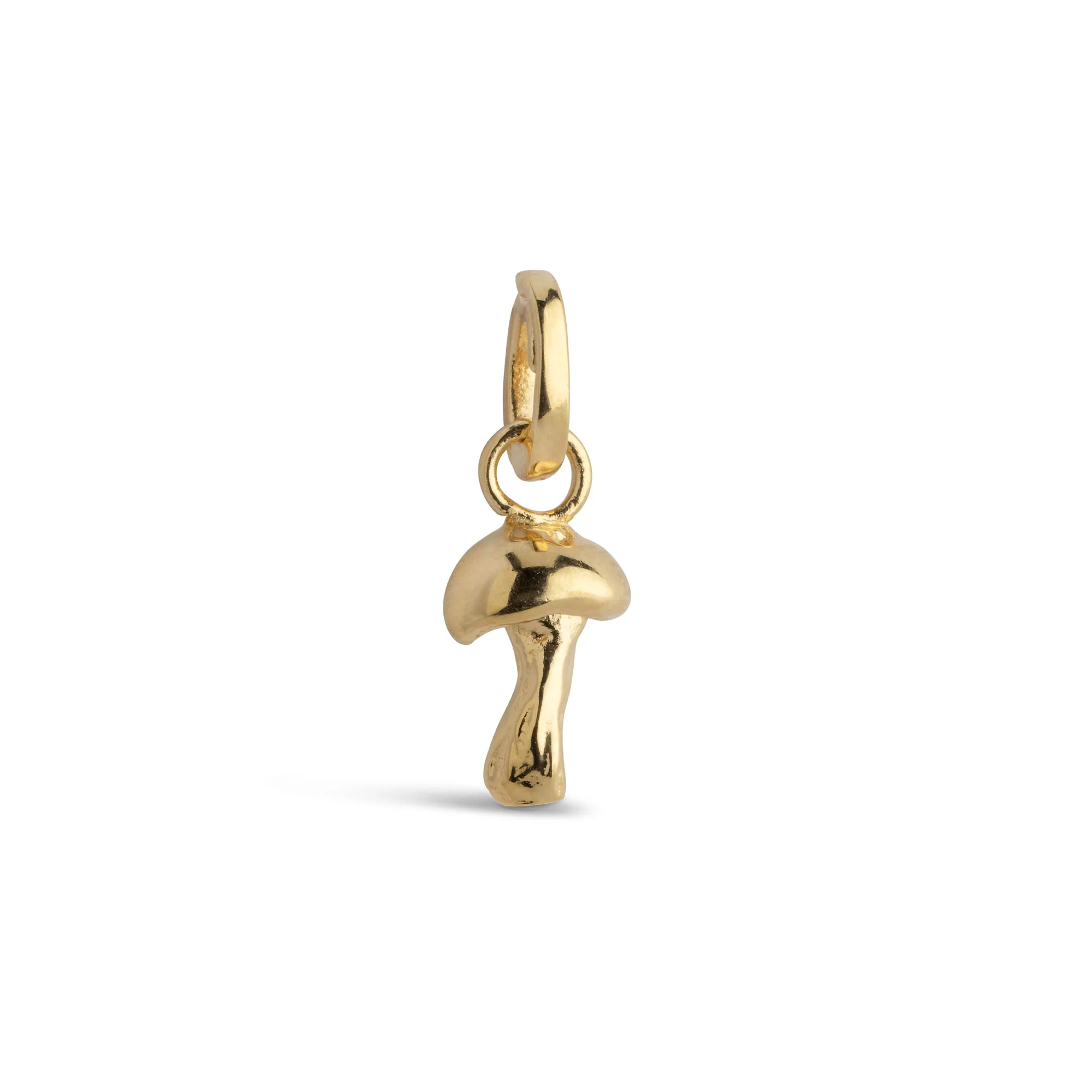 Charm, Adventurous Mushroom